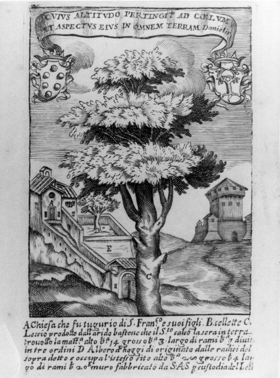 chiesa e leccio di San Francesco d'Assisi (stampa) - ambito romano (inizio sec. XVII)