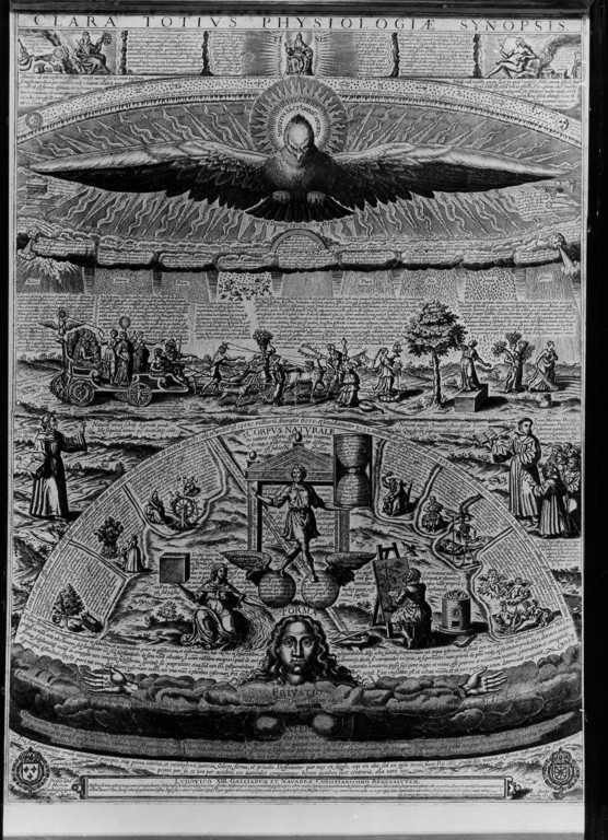 sinopsi della Fisiologia (stampa) di Gaultier Leonard (attribuito) (sec. XVII)