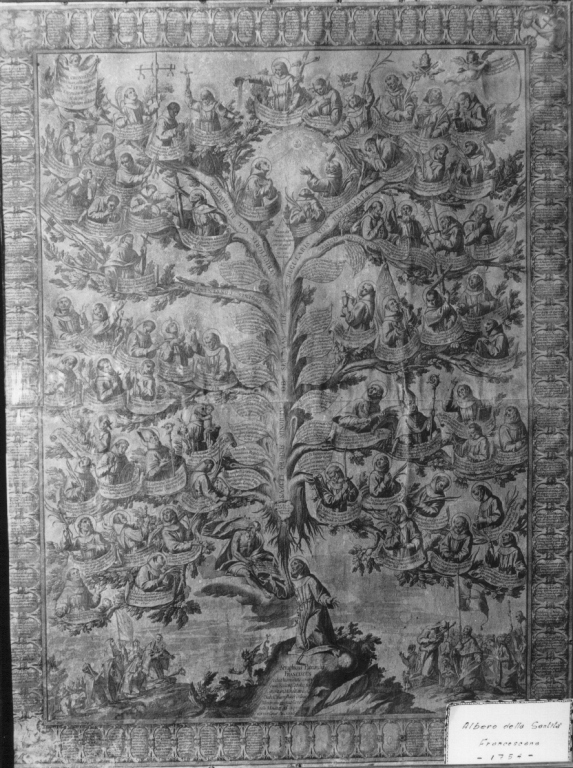 albero della santità francescana (stampa) di Mercoro Giacomo, Torricella Giovanni Antonio (sec. XVIII)