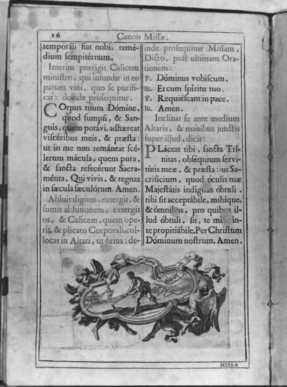 contadino che zappa (stampa) di Van Westerhout Arnold - ambito romano (secc. XVII/ XVIII)