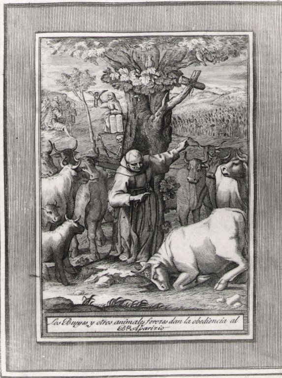 los bueyes y otros animales ferozes.., Storie della vita del Beato Sebastiano di Aparicio (stampa, serie) di Bombelli Pietro Leone (seconda metà sec. XVIII)