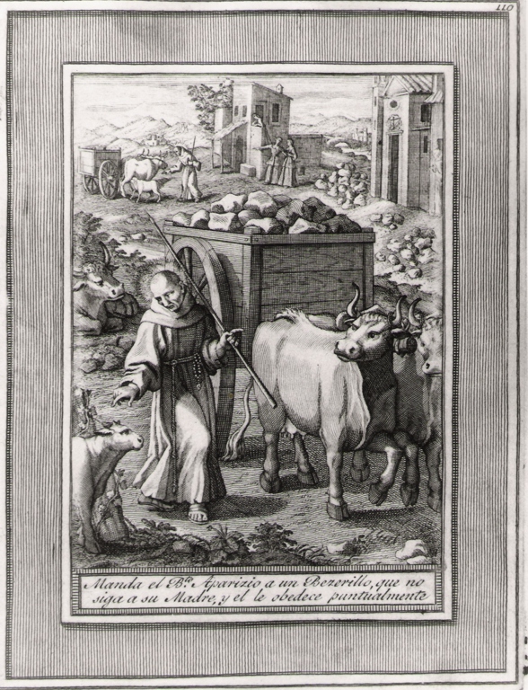 manda el b.to Aparizio a un bezerillo que no.., beato Sebastiano di Aparicio comanda ad un vitello di non succhiare il latte (stampa, serie) di Bombelli Pietro Leone (seconda metà sec. XVIII)