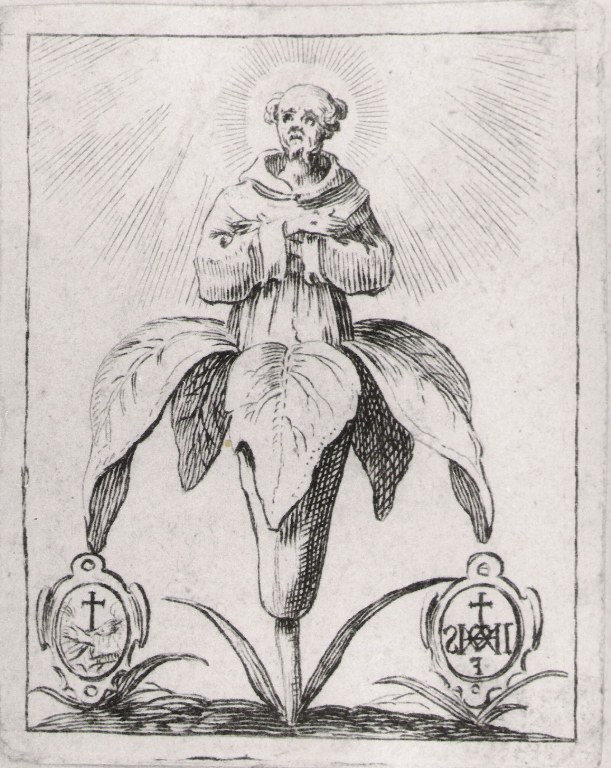San Francesco d'Assisi in un giglio, San Francesco d'Assisi in un giglio (stampa smarginata) di Callot Jacques (attribuito) (inizio sec. XVII)