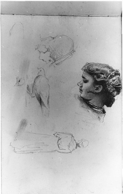 due teste femminili; studio di colomba; schizzo di figura femminile (disegno) di Joris Pio (sec. XIX)