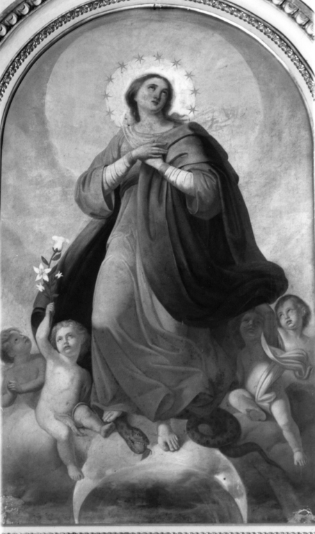 Immacolata Concezione (dipinto) di Fredei Giovanni (sec. XIX)