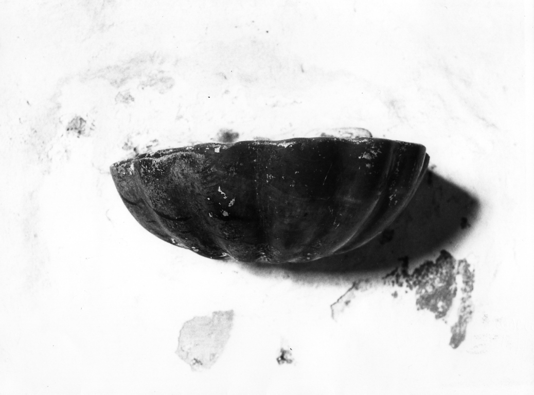 acquasantiera - a conchiglia - ambito laziale (sec. XVIII)