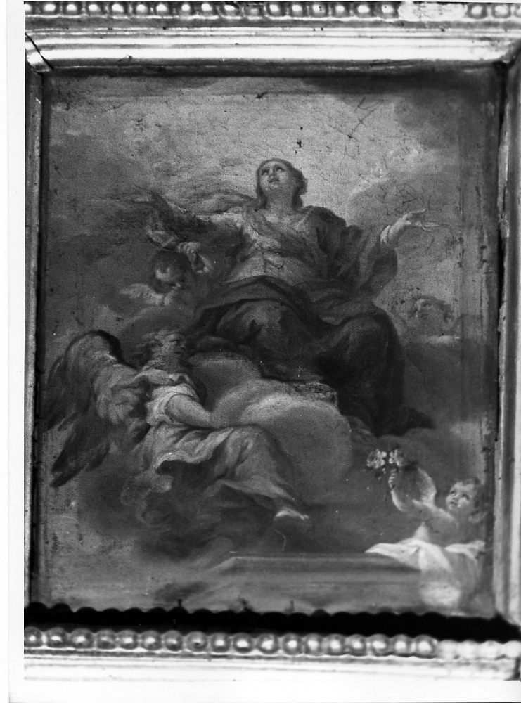 Madonna Assunta con angeli, Madonna Assunta con angeli (dipinto) di Cerruti Michelangelo (attribuito) (sec. XVIII)