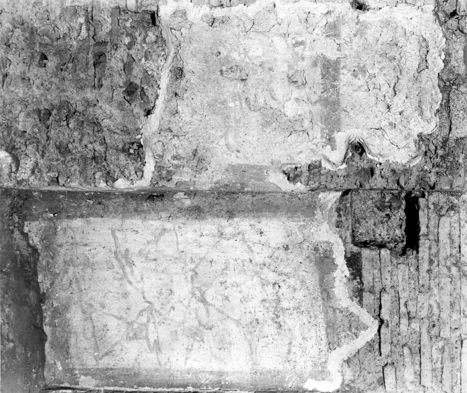 motivi decorativi (dipinto, frammento) - ambito romano (fine sec. VIII)