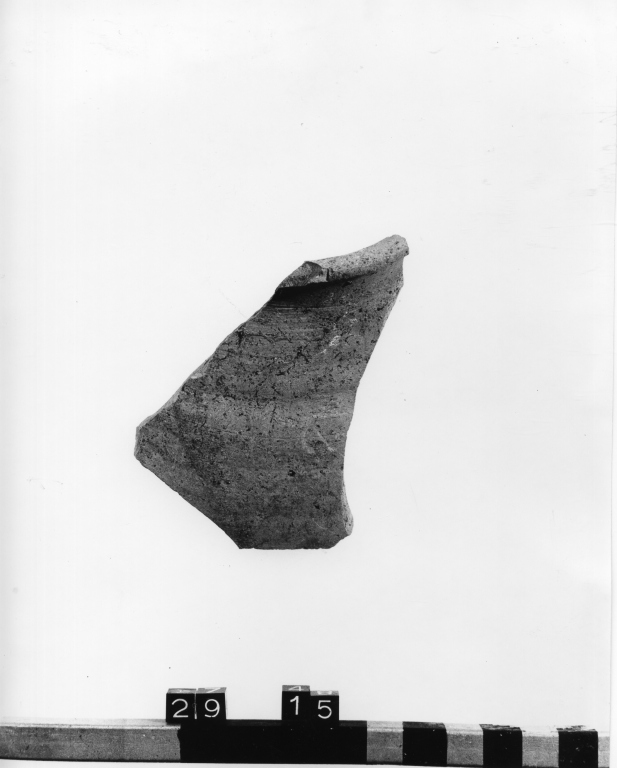 olla, frammento - ambito laziale (secc. XII/ XIII)