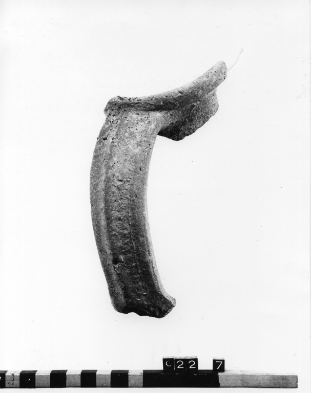 anfora, frammento - ambito laziale (secc. XIII/ XIV)