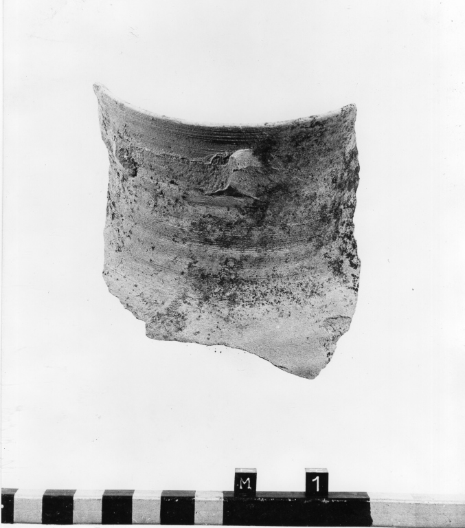 anfora, frammento - ambito laziale (secc. XIII/ XV)