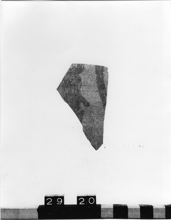 tazza, frammento - ambito laziale (secc. IX/ XIII)