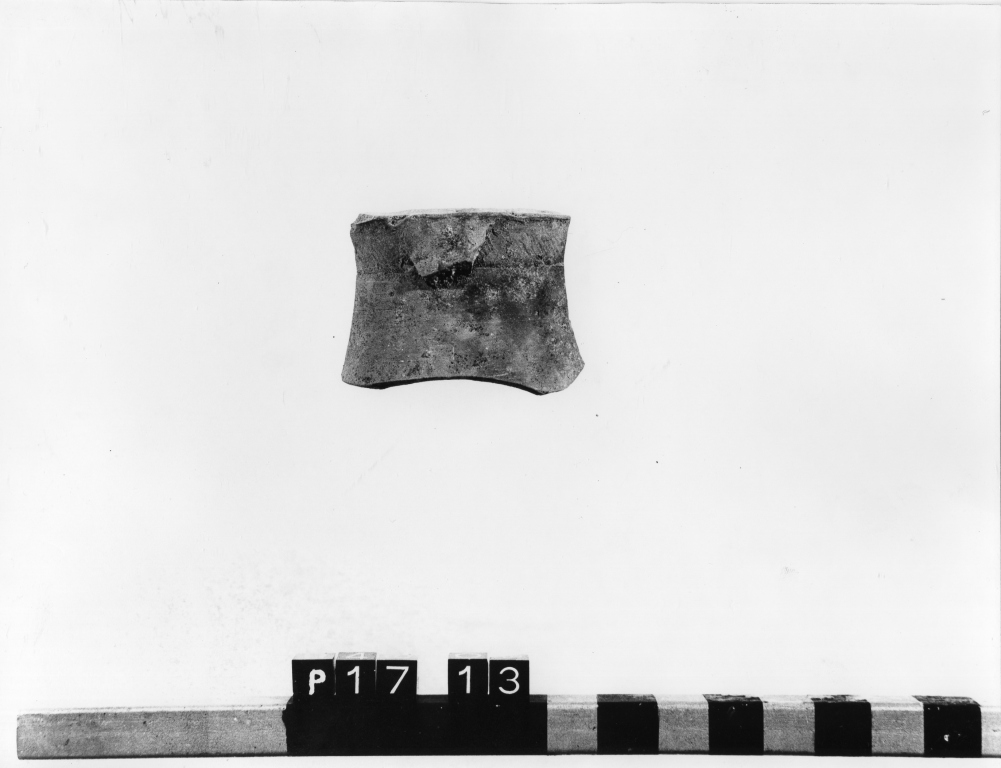 anfora, frammento - ambito laziale (secc. XIII/ XIV)