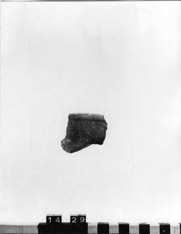 anfora, frammento - ambito laziale (secc. XIII/ XIV)