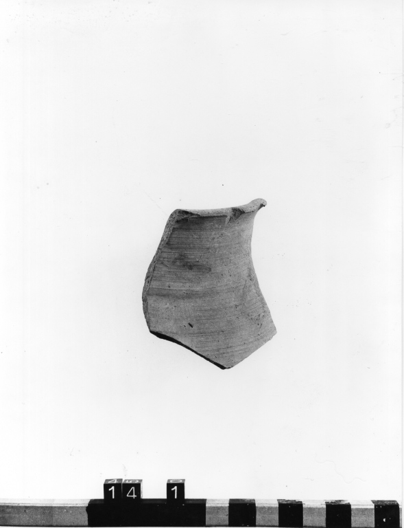 anfora, frammento - ambito laziale (secc. XIII/ XIV)