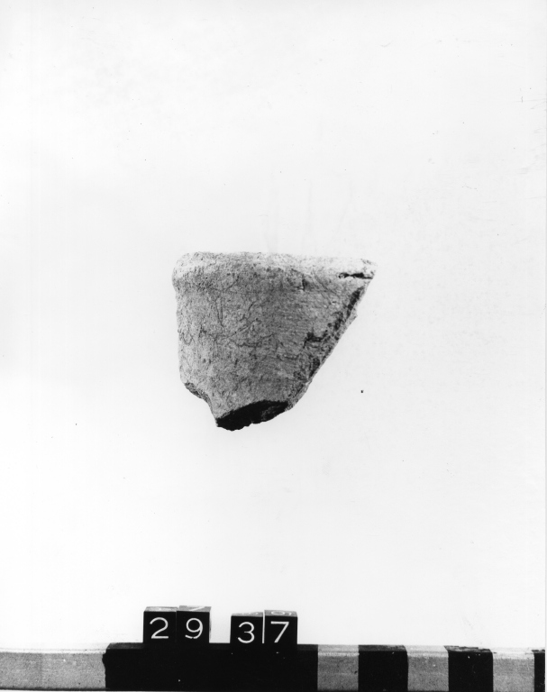 anfora, frammento - ambito laziale (secc. XIII/ XIV)