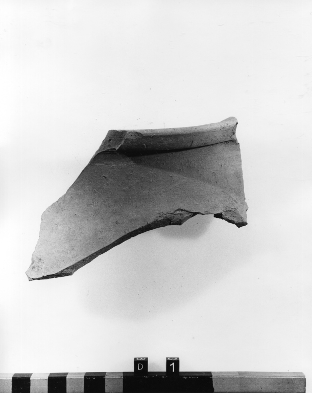 olla, frammento - ambito laziale (secc. IV/ V)