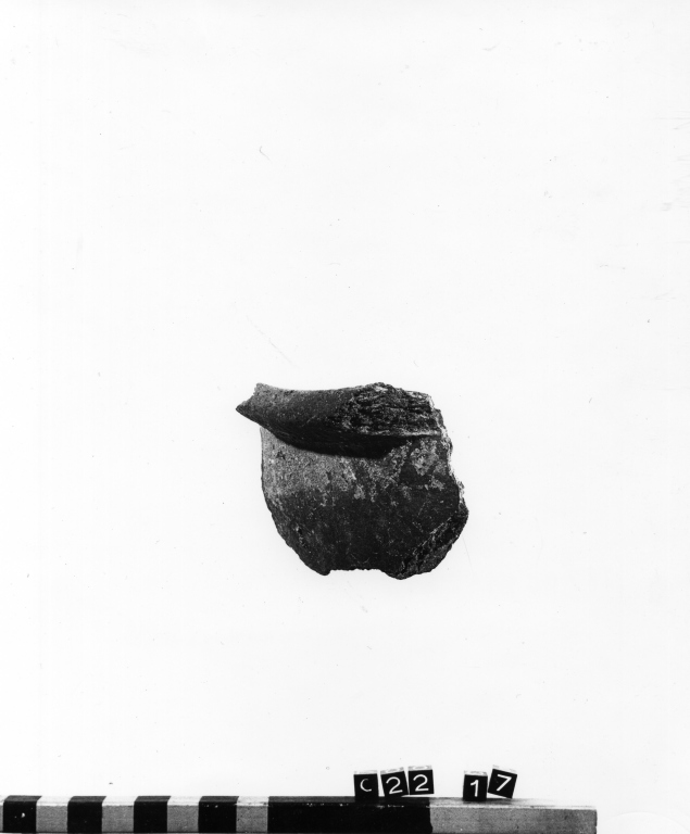 olla, frammento - ambito laziale (secc. XII/ XIV)