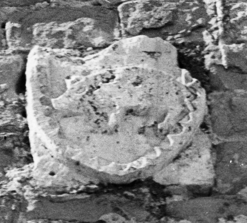 rilievo, frammento - ambito laziale (secc. XV/ XVI)