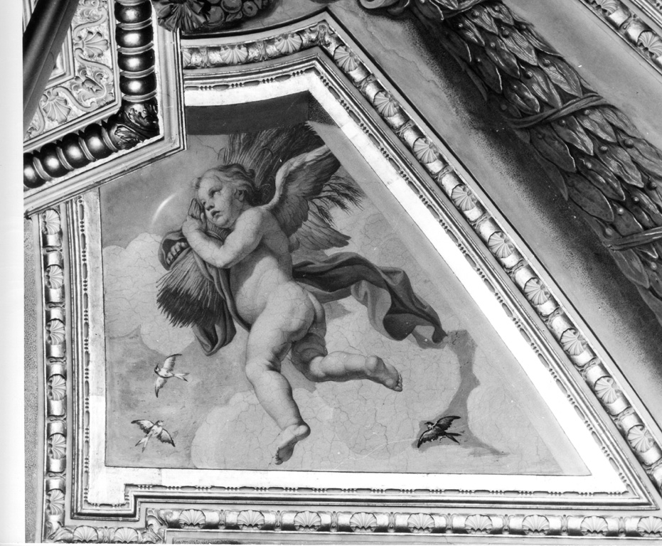 Putto con fascio di spighe (Estate) (dipinto murale) di Chiari Fabrizio (sec. XVII)