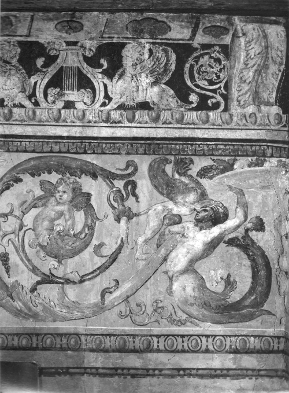 Putti e girali di acanto (dipinto murale, complesso decorativo) di Bonaccorsi Pietro detto Perin del Vaga (sec. XVI)