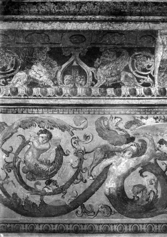 Putti e girali di acanto (dipinto murale, complesso decorativo) di Bonaccorsi Pietro detto Perin del Vaga (sec. XVI)