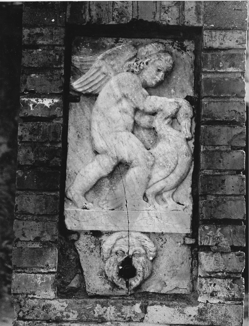 putto alato con oca (rilievo, opera isolata) - ambito laziale (secc. XV/ XVI)