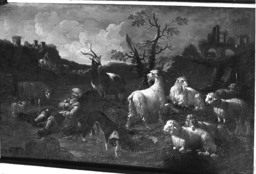 paesaggio con capre e pastore addormentato (dipinto) di Brandi Domenico detto Micco (attribuito) (sec. XVIII)