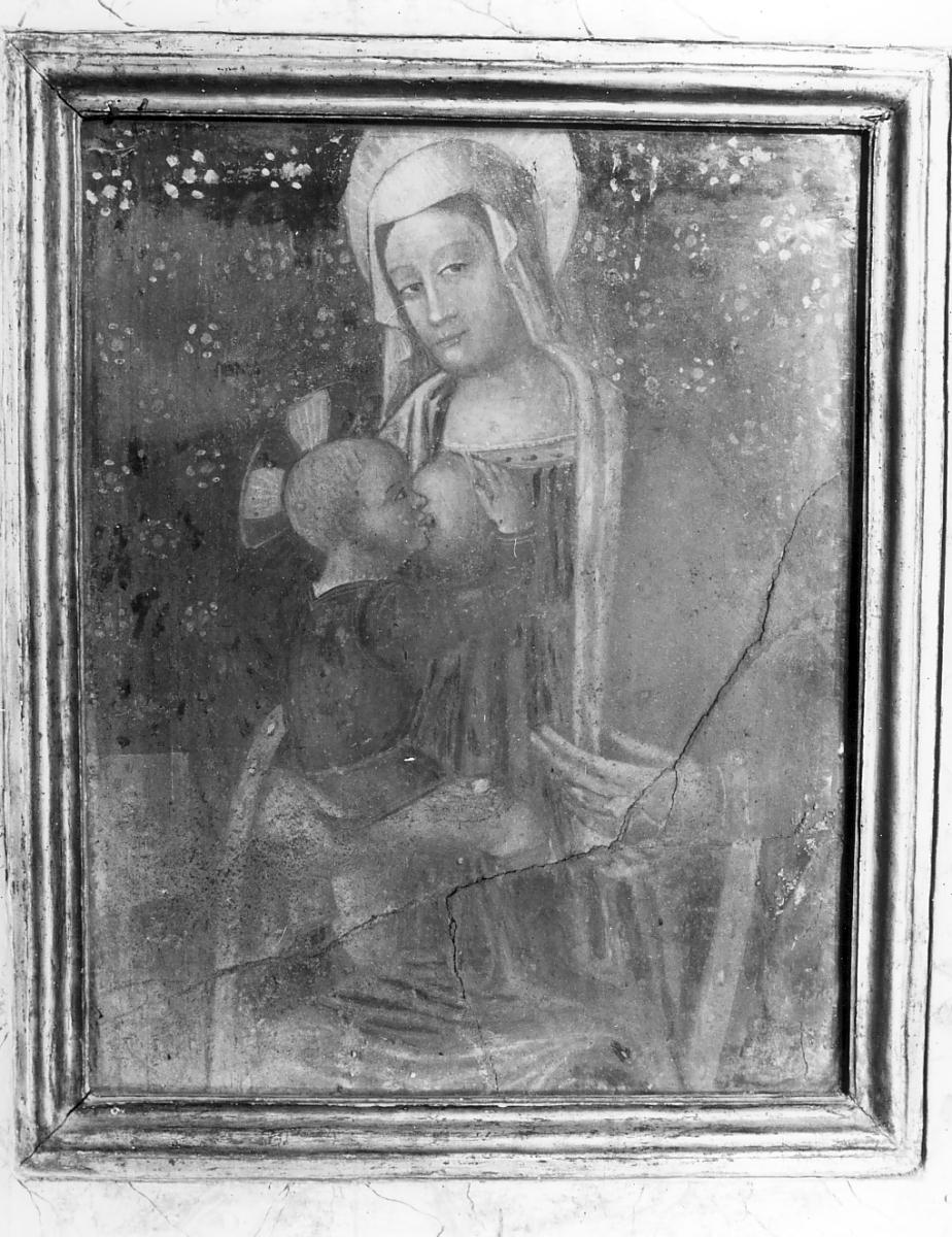 Madonna del Latte (dipinto, opera isolata) - ambito cremonese (sec. XV)