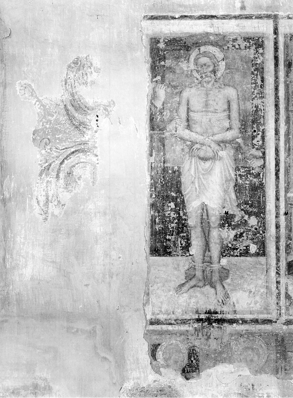 Cristo alla colonna (dipinto, opera isolata) - bottega cremonese (prima metà sec. XV)