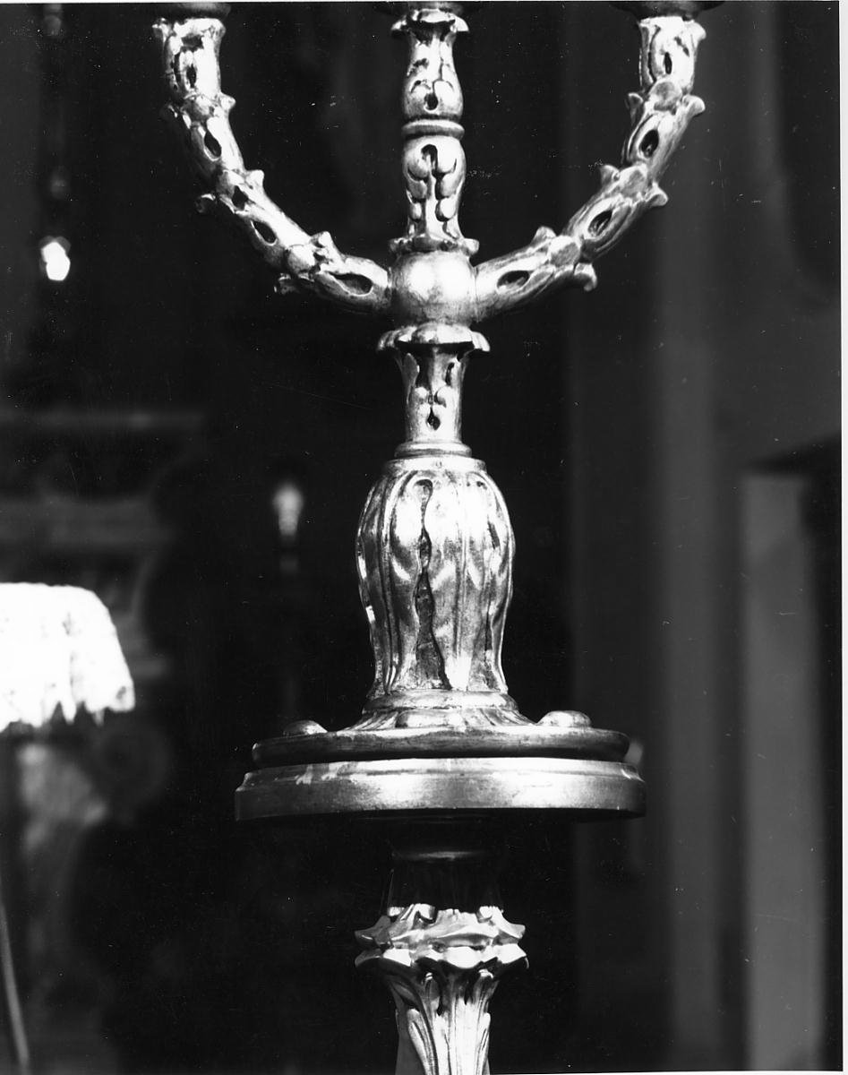 bocciolo - ambito mantovano (sec. XIX)