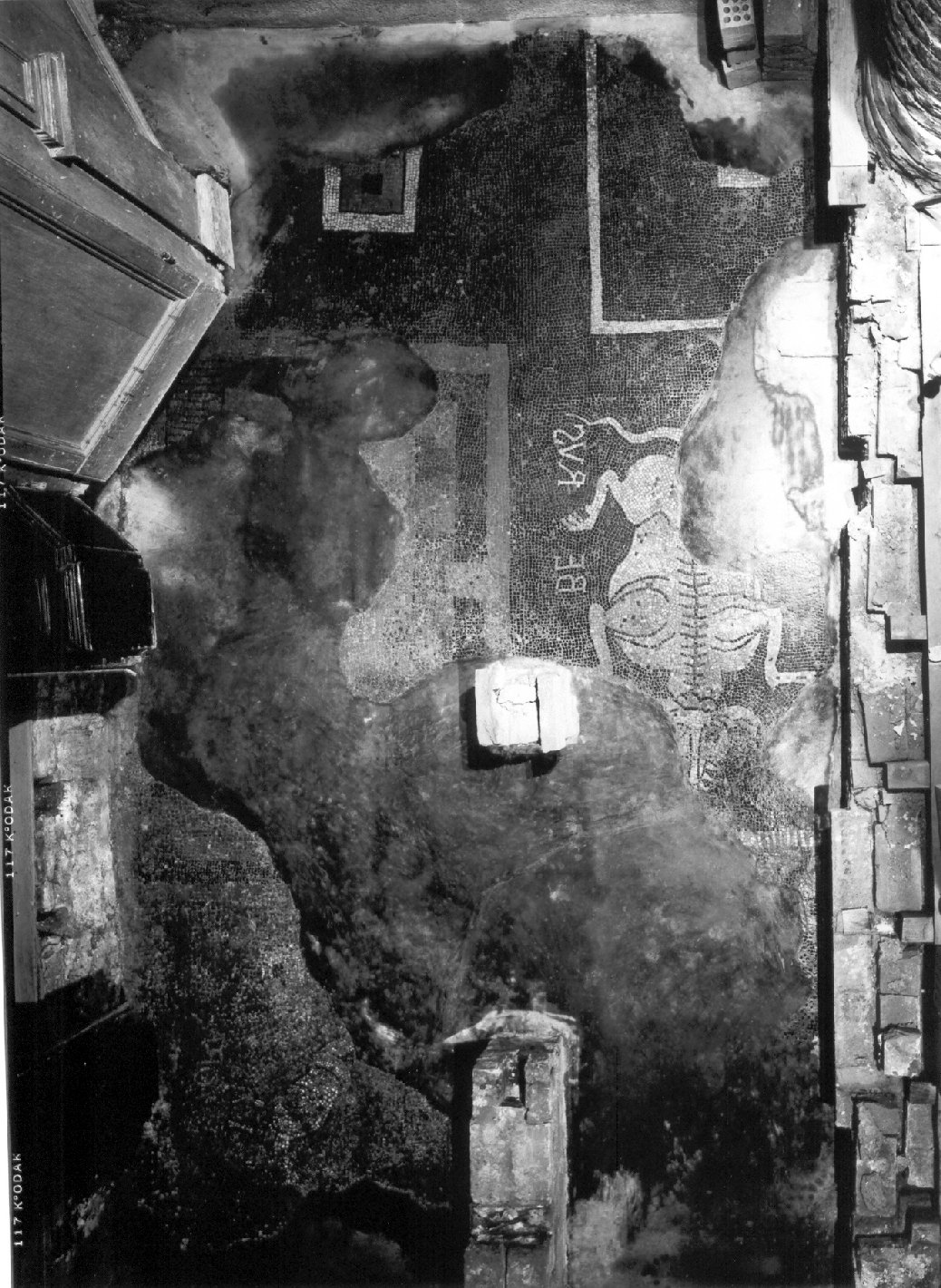 Idra (decorazione musiva, elemento d'insieme) - ambito lombardo (primo quarto sec. XII)