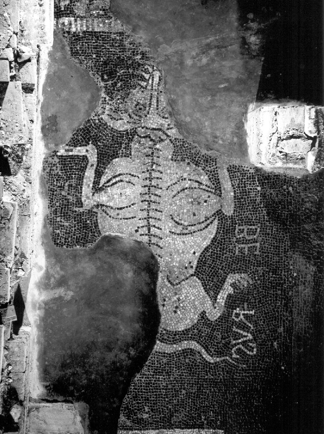 Cerbero (decorazione musiva, elemento d'insieme) - ambito lombardo (primo quarto sec. XII)