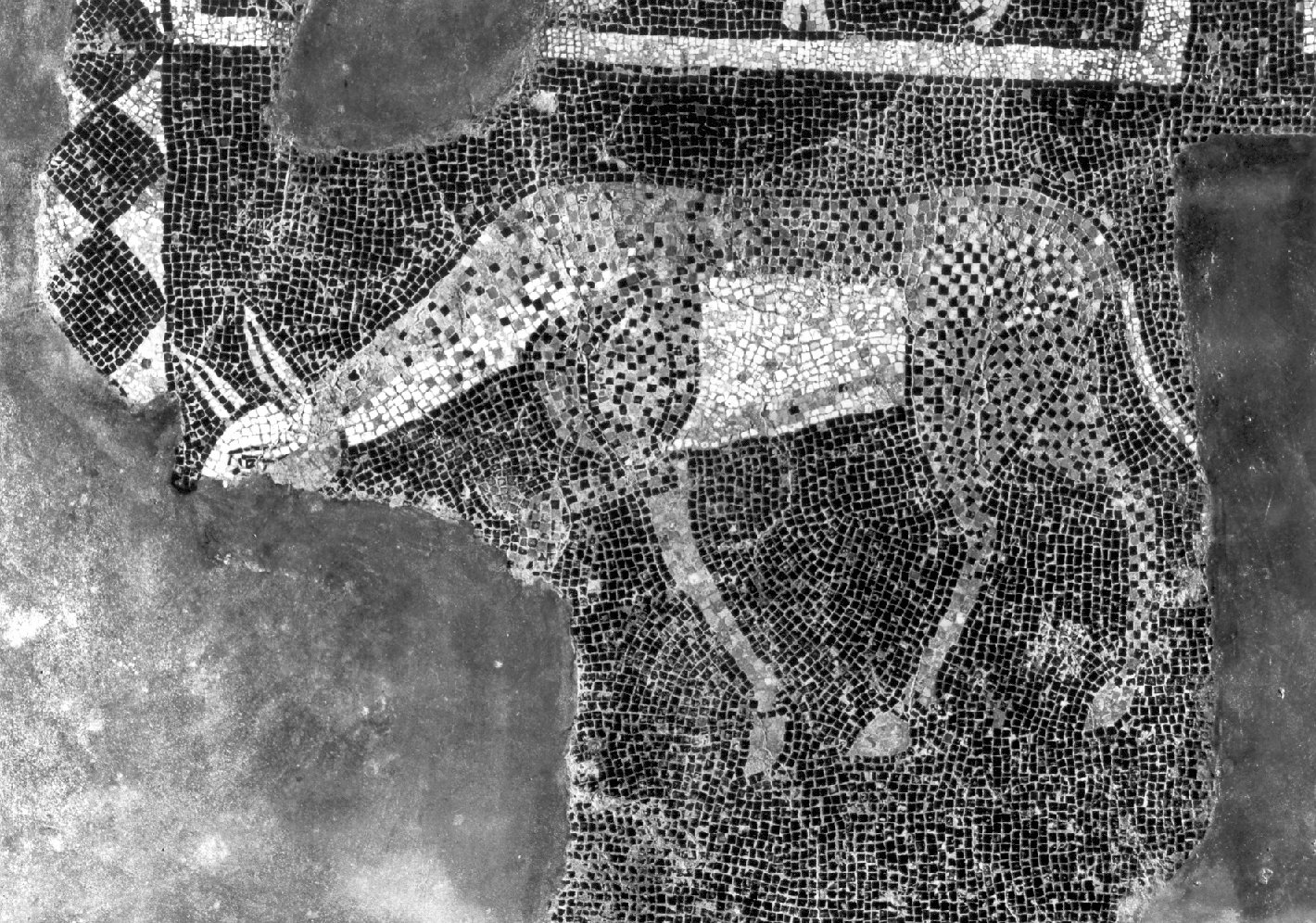 Asino (decorazione musiva, elemento d'insieme) - ambito lombardo (primo quarto sec. XII)