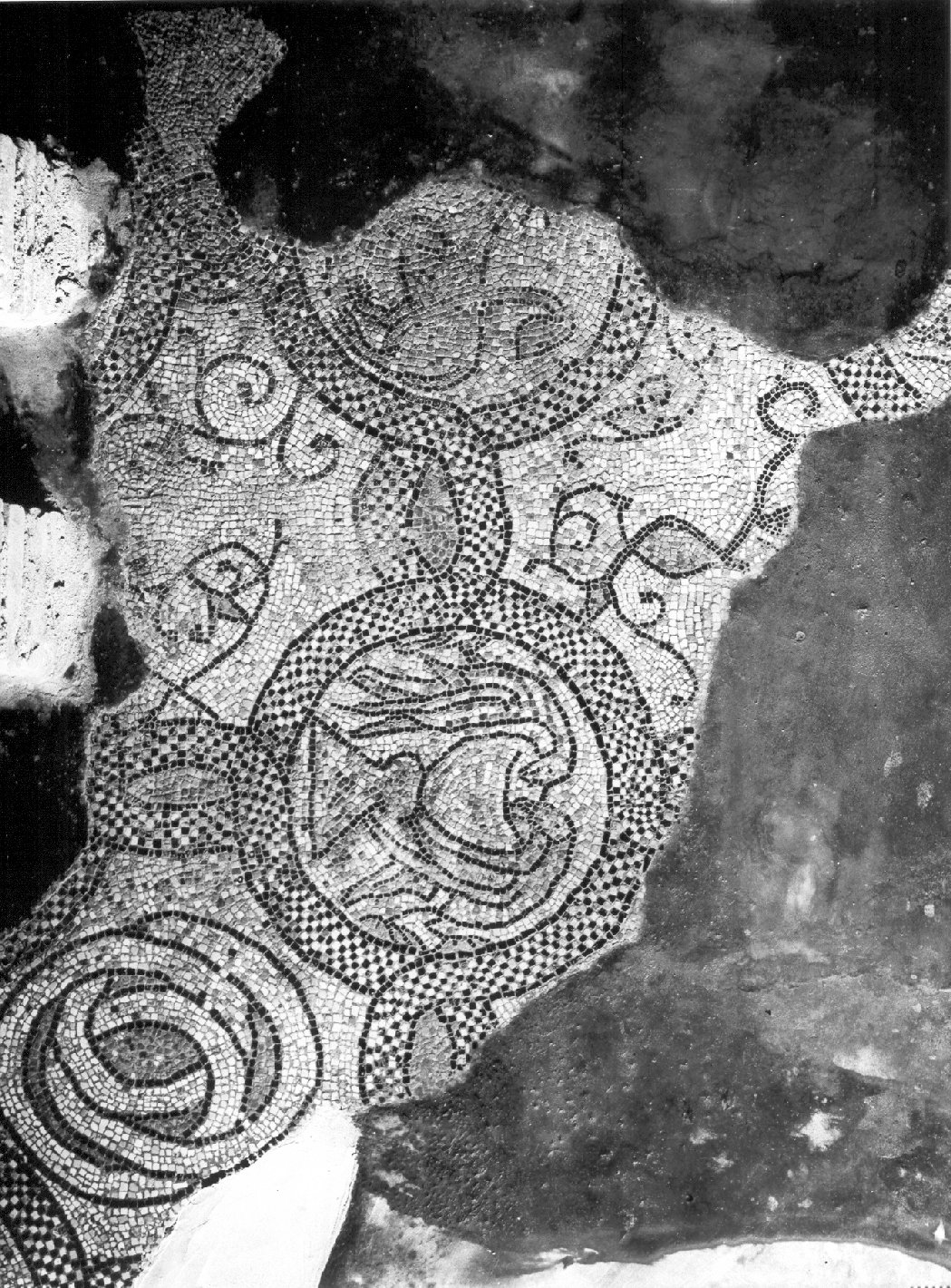 motivi decorativi (decorazione musiva, elemento d'insieme) - ambito lombardo (primo quarto sec. XII)