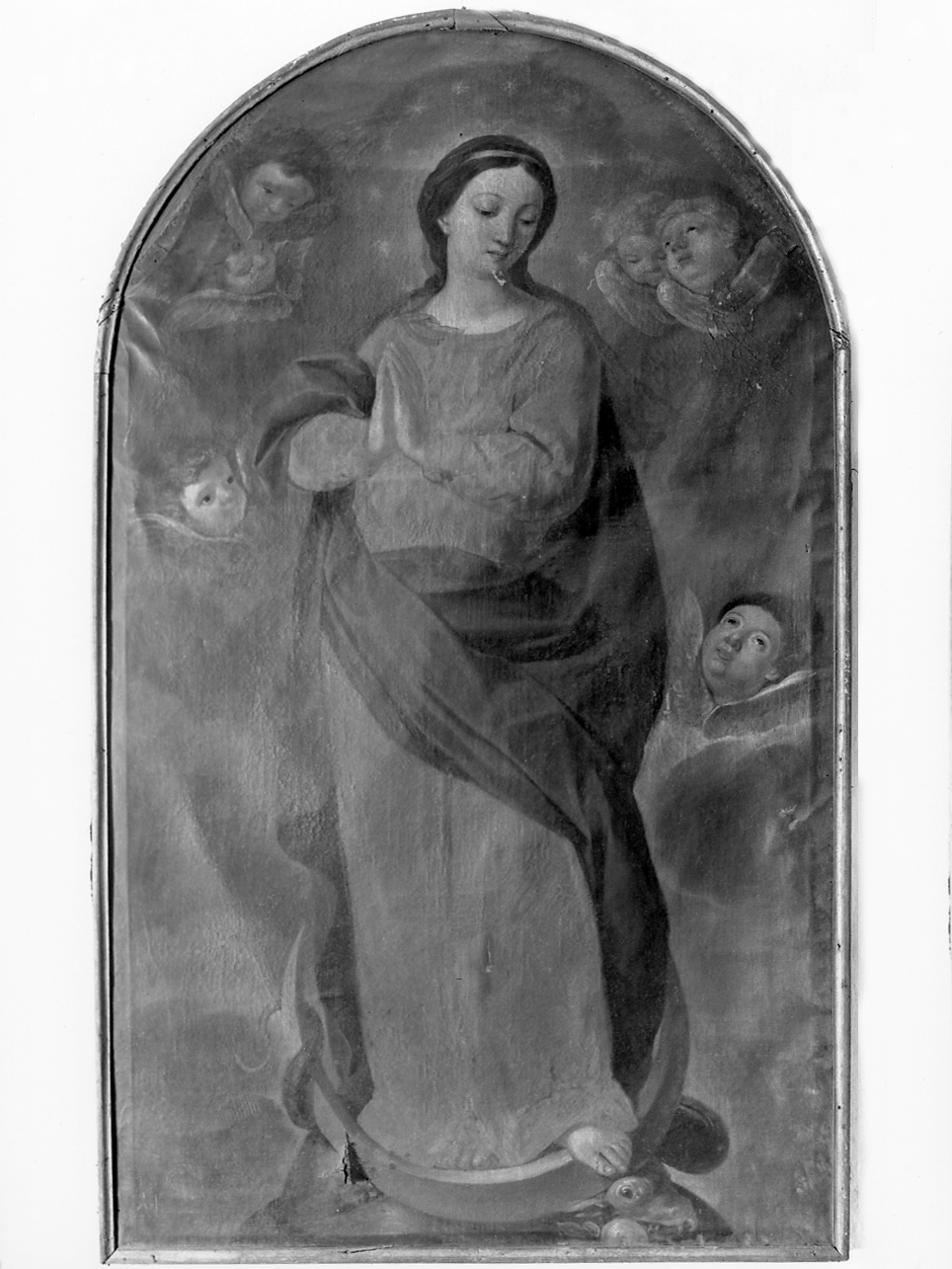 Madonna Immacolata (dipinto, opera isolata) - ambito emiliano (metà sec. XVII)