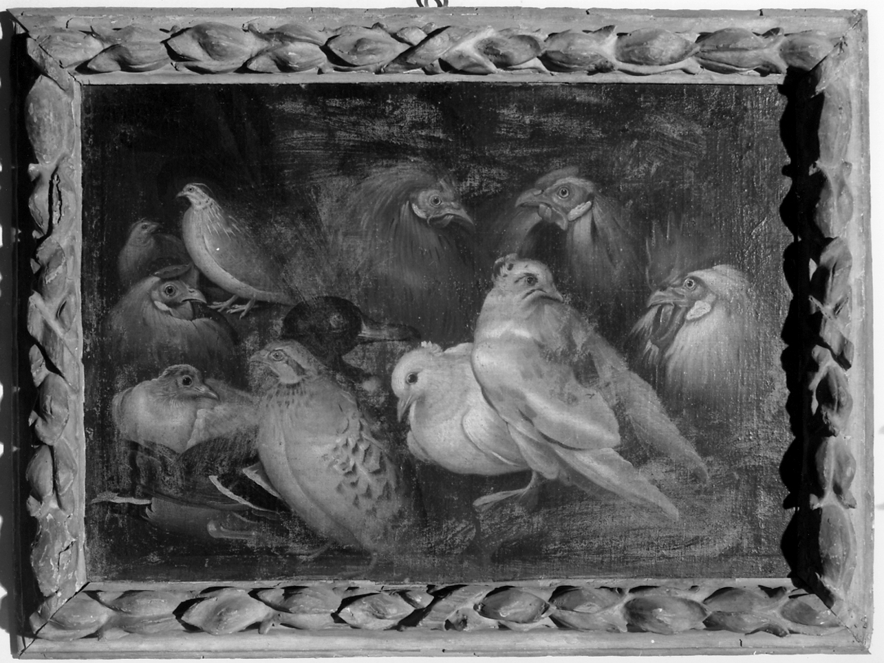 natura morta (dipinto, opera isolata) - ambito genovese (prima metà sec. XVIII)