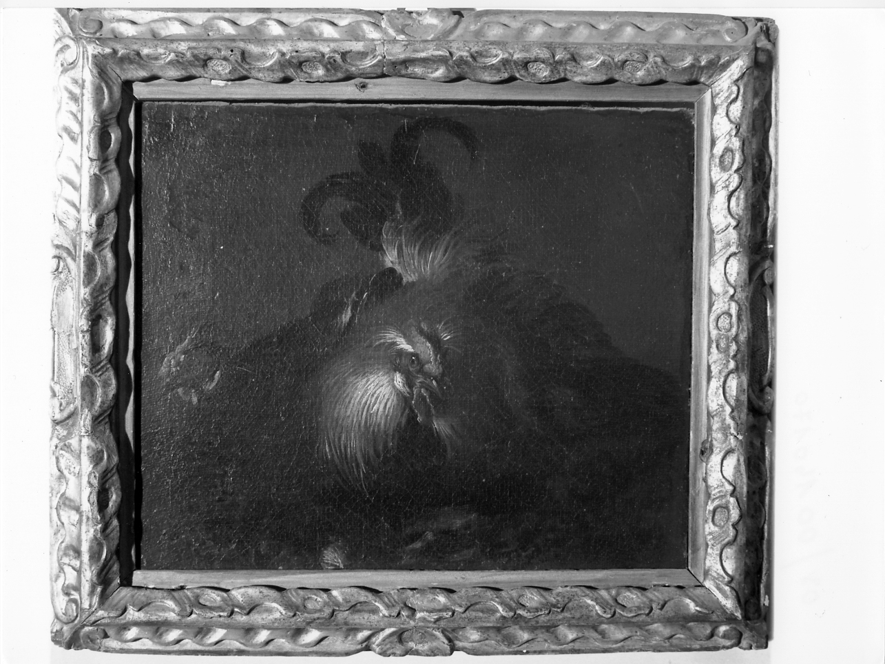 galli (dipinto, opera isolata) - ambito lombardo (sec. XVIII)