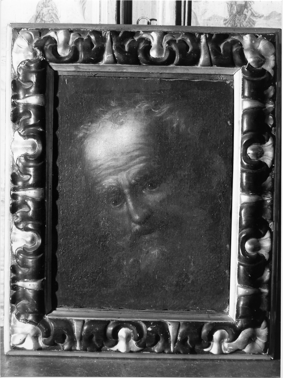 testa d'uomo con barba (dipinto, opera isolata) - ambito emiliano (prima metà sec. XVII)