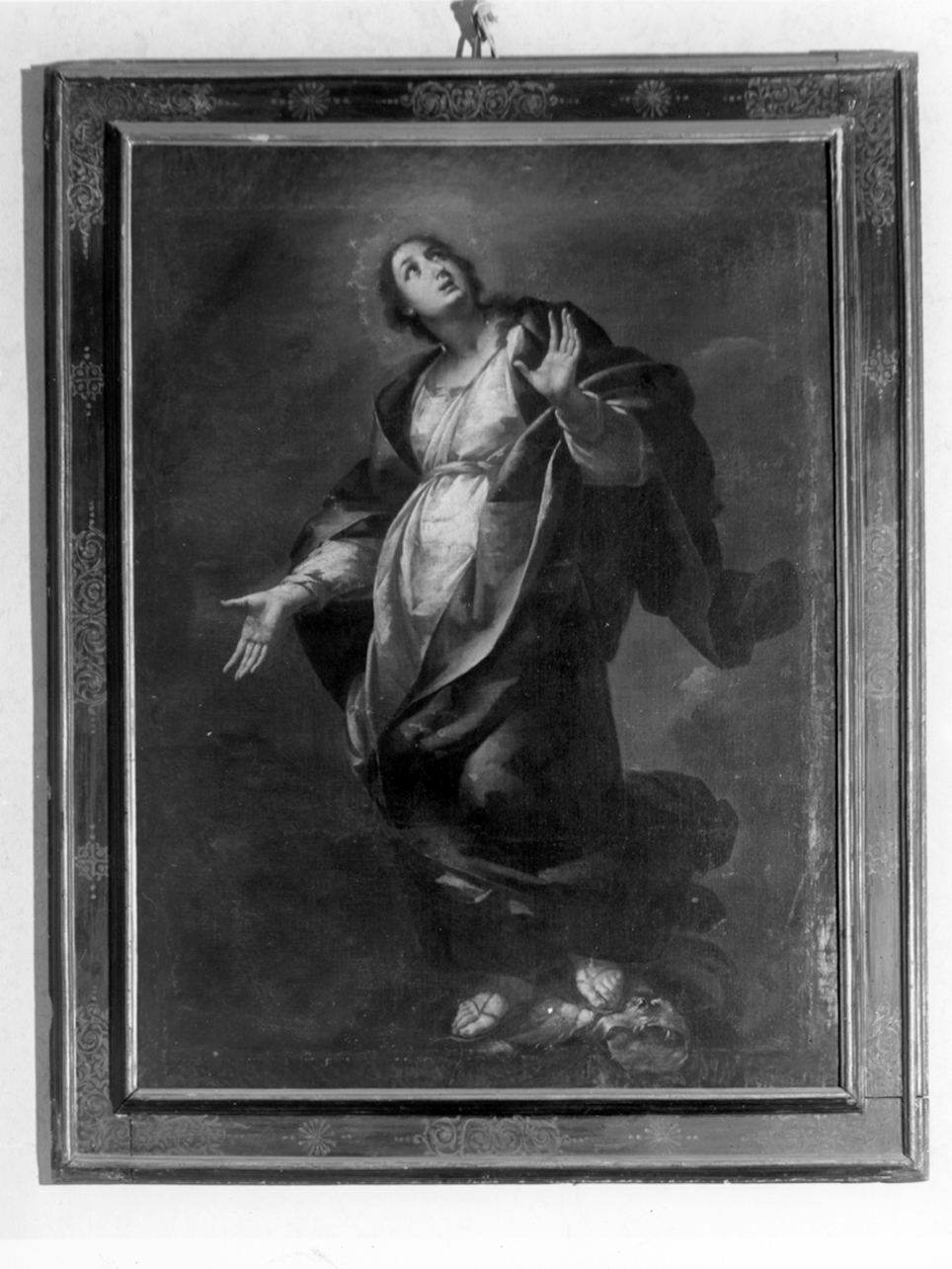 Madonna Immacolata (dipinto, opera isolata) di Nuvolone Carlo Francesco (attribuito) (secondo quarto sec. XVII)