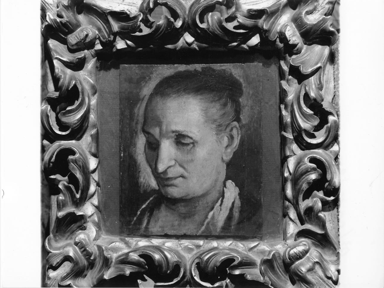 ritratto di donna (dipinto, opera isolata) di Zelotti Battista (attribuito) (metà sec. XVI)