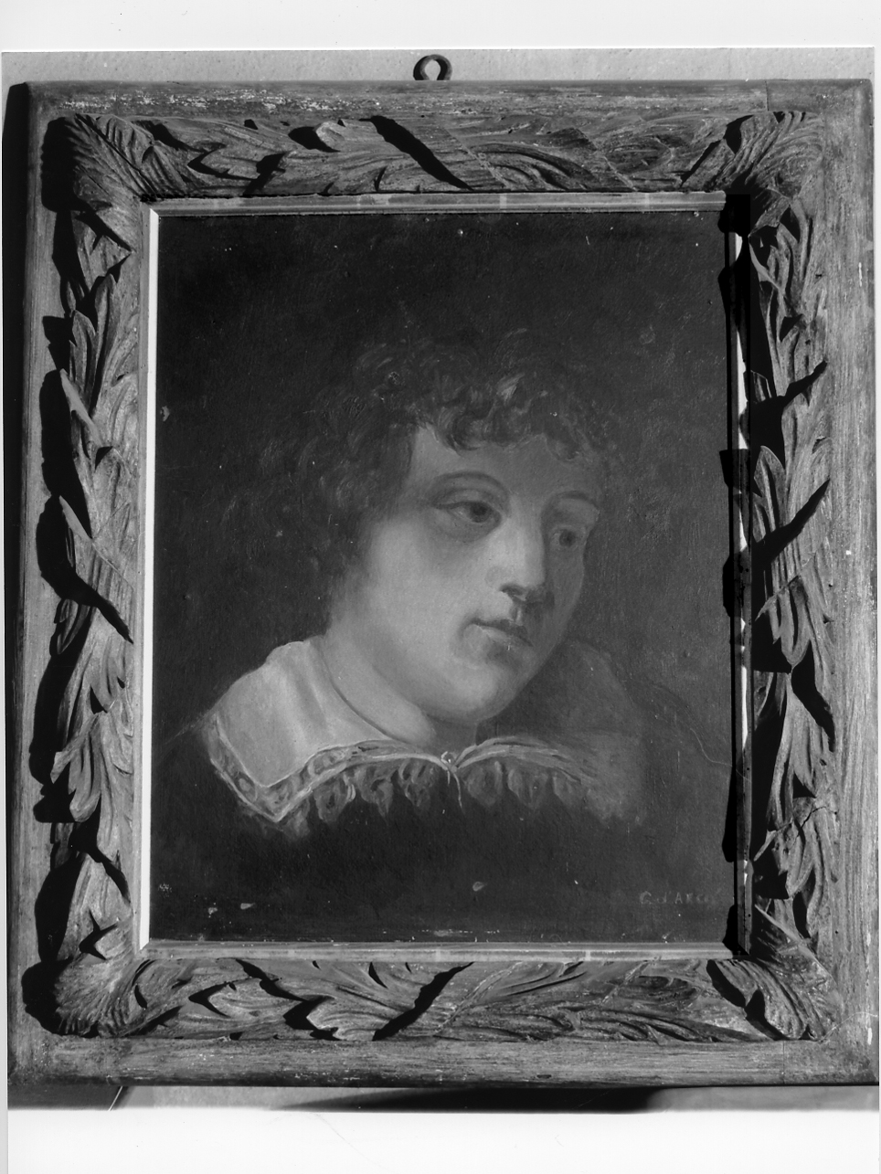 busto di giovane (dipinto, opera isolata) di D'Arco Giovanna (prima metà sec. XX)