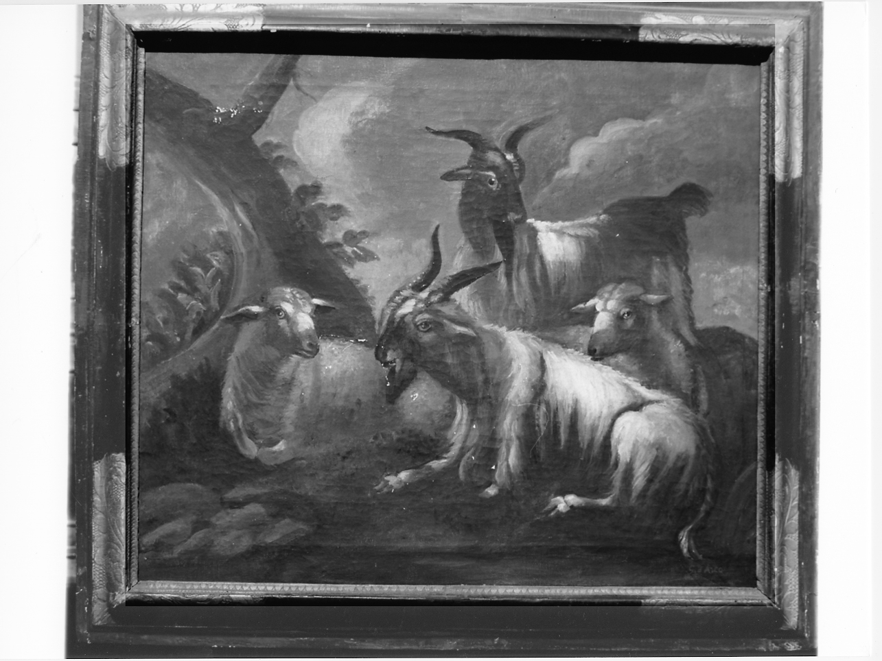 paesaggio con animali (dipinto, opera isolata) di D'Arco Giovanna (prima metà sec. XX)