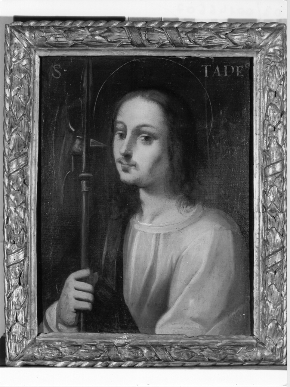 San Taddeo apostolo (dipinto, opera isolata) di Morando Paolo detto Cavazzola (inizio sec. XVI)