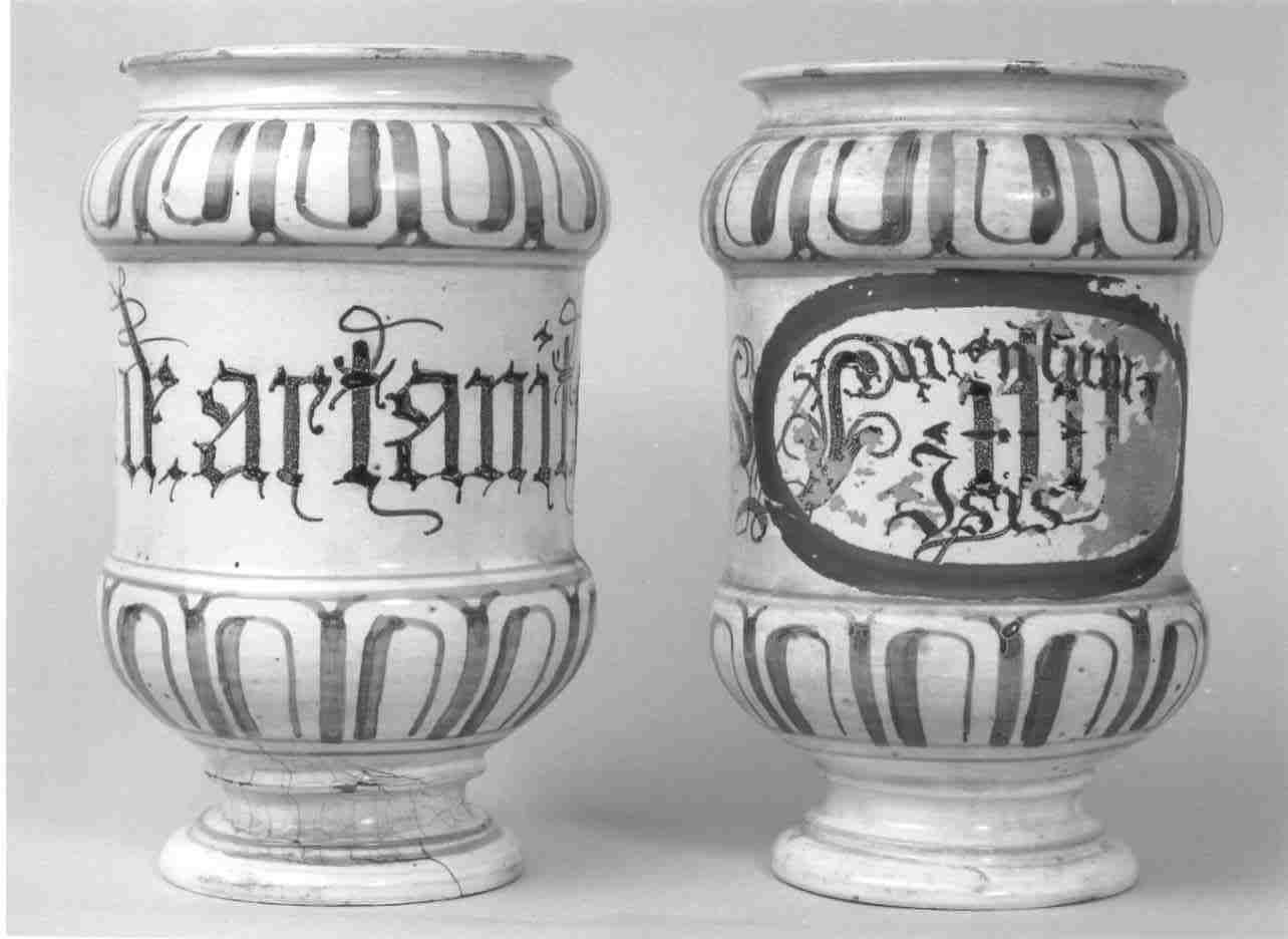 alberello, serie - manifattura faentina (seconda metà sec. XVII)