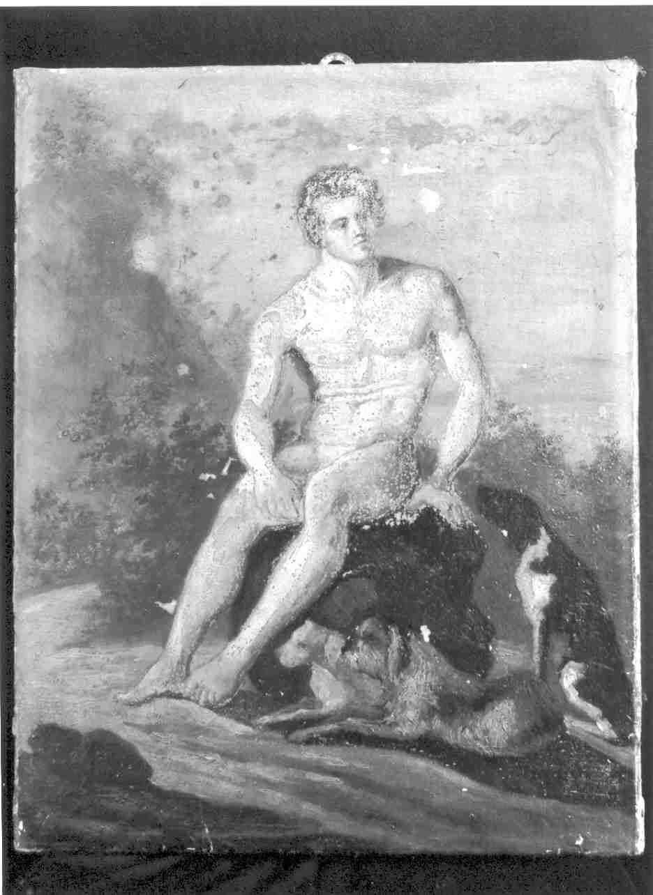giovane nudo con cani (dipinto, opera isolata) di D'Arco Carlo (secondo quarto sec. XIX)