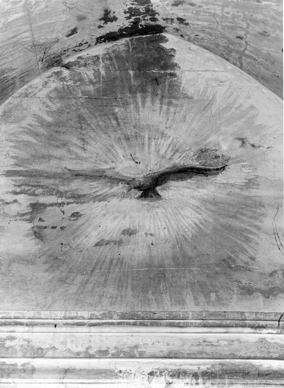 colomba dello Spirito Santo (dipinto, elemento d'insieme) - ambito lombardo (ultimo quarto sec. XVIII)