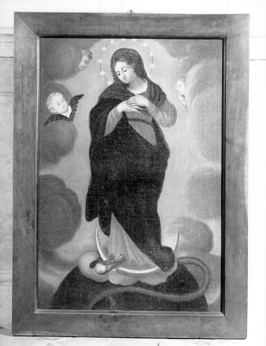 Immacolata Concezione (dipinto, opera isolata) - ambito veronese (sec. XVIII)
