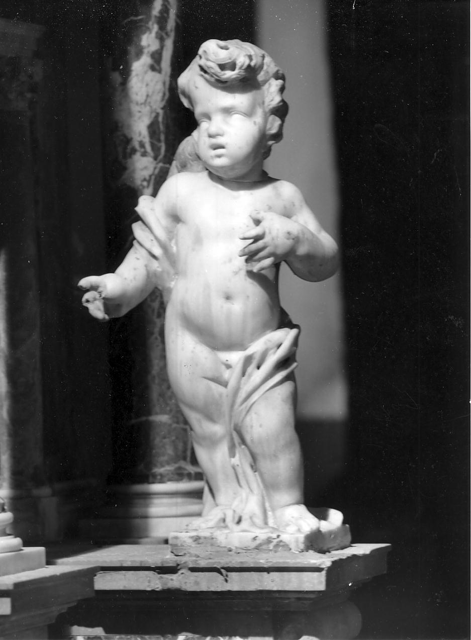 angioletti (statua, elemento d'insieme) di Maderno Francesco (ultimo quarto sec. XVII)