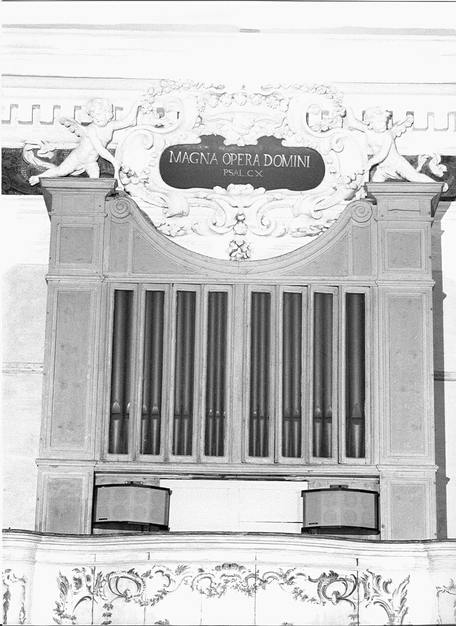 cassa d'organo, opera isolata - ambito lombardo (seconda metà sec. XIX)